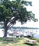 By Floating A Dock